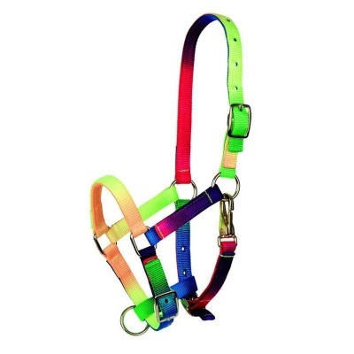 Cabresto arco-íris para animais em nylon com fivelas metálicas