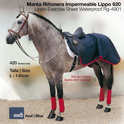 Cavalo com manta impermeável azul Lippo 620 e proteções vermelhas nas pernas