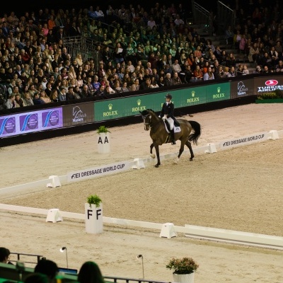 Concursos de equitação em arena de areia com cavalo e cavaleiro e público nas bancadas