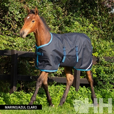 Manta azul marinho e azul claro para potro à prova de intempéries