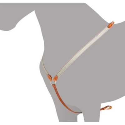 Arnês para cão bege e castanho em modelo sobre fundo branco