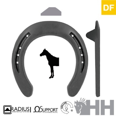 Ferradura cinzenta escura com silhueta de cavalo e texto DF amarelo