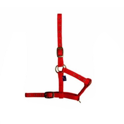 Arnês vermelho para animal de estimação com fivelas metálicas