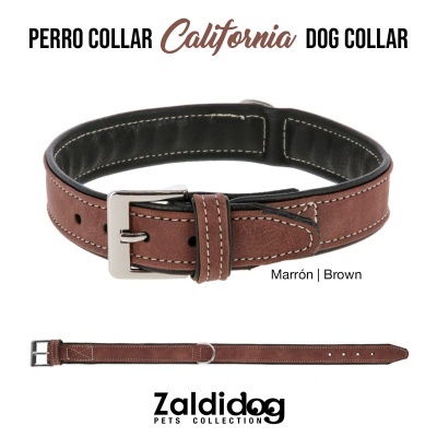 Colar para cães castanho com fivela metálica