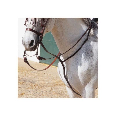 Cavalo branco com cabresto e rédeas castanhas
