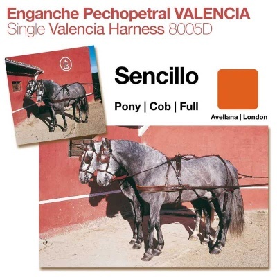 Cavalos cinzentos com arreios de tração em parede vermelha