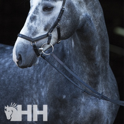 Cavalo cinzento com rédea preta e logotipo 'HH'