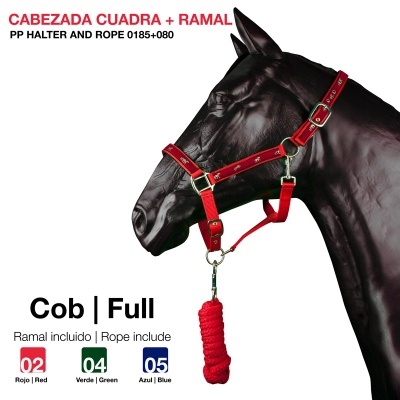 Cabeçada e ramal vermelhos para cavalo mostrados em manequim preto com texto informativo ao lado