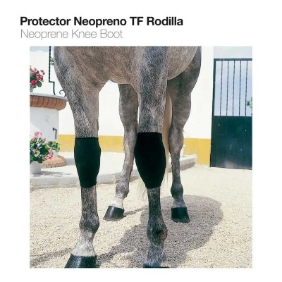 Cavalo cinzento com protetores de neopreno pretos nas patas dianteiras