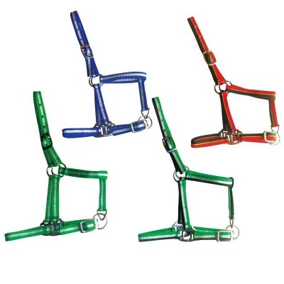 Quatro cabrestos de cavalo em diferentes cores sobre fundo branco.