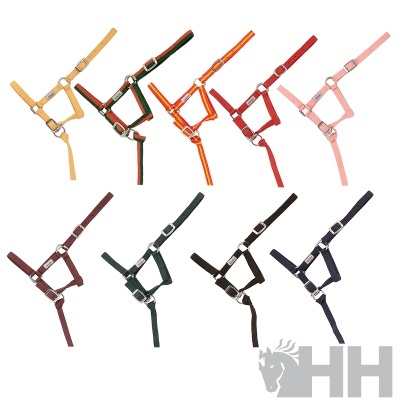 Cabrestos para cavalos coloridos com fivelas metálicas