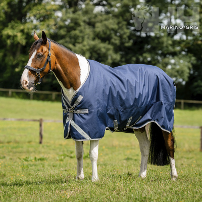 Cavalo com manta azul marinho num campo verde