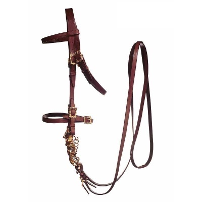 Cabeçada e rédea de couro castanho com fivelas douradas para equitação