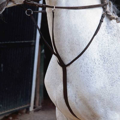 Peitoral castanho em cavalo branco em estábulo