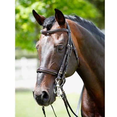 Cavalo com cabeçada castanha escura em fundo verde desfocado