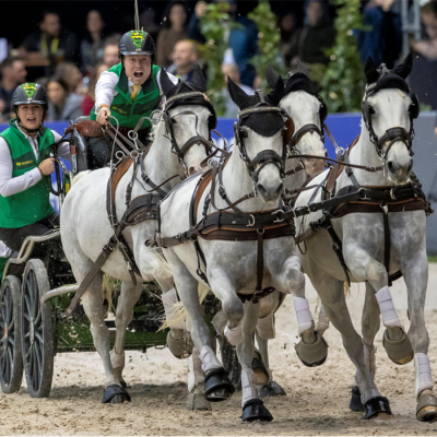 Carroça puxada por quatro cavalos brancos em competição e cavaleiros com coletes verdes