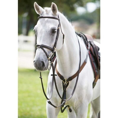 Cavalo branco com equipamento de equitação em couro castanho