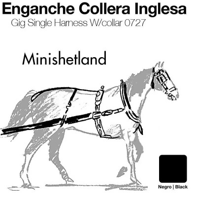 Ilustração de cavalo com arnês inglês para enganche, texto explicativo e referência a cor preta