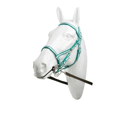 Cabeça branca de cavalo com cabedal turquesa e fivelas metálicas