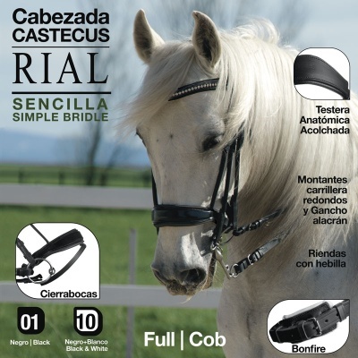 Cavalo branco com cabeçada preta de couro em área externa com texto descritivo do produto