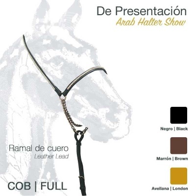 Cabresto para cavalo Arab Halter Show de couro preto com corrente dourada