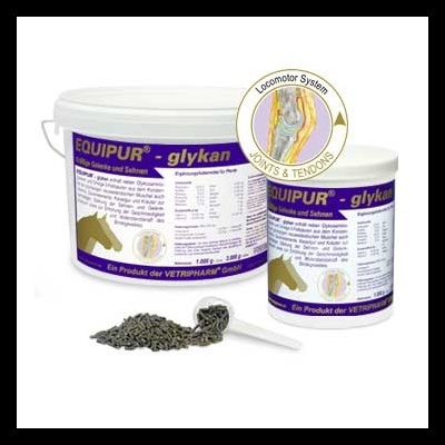 Suplemento EQUIPUR glykan para cavalos em dois recipientes com rótulos roxos e brancos e pastilhas cinzentas.