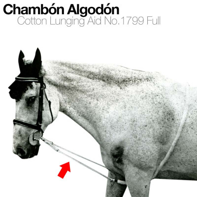 Cavalo com cabeçada e corda branca, texto Chambón Algodón Cotton Lunging Aid No.1799 Full