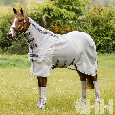 Cavalo com manta branca e proteções nas pernas no campo
