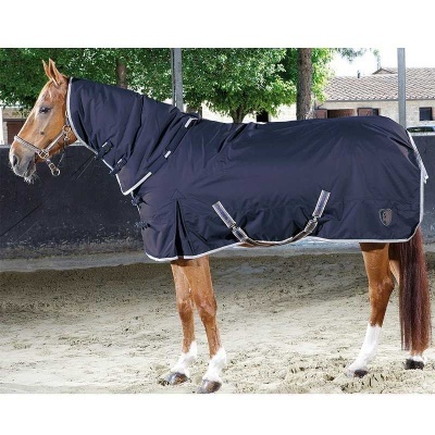 Cobertor protector azul escuro em cavalo castanho com manchas brancas
