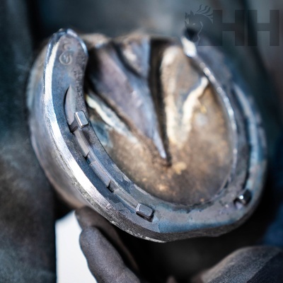 Ferradura metálica presa a casco de cavalo com mão segura