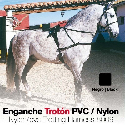 Cavalo cinzento com enganche de tração troton preto em ambiente exterior