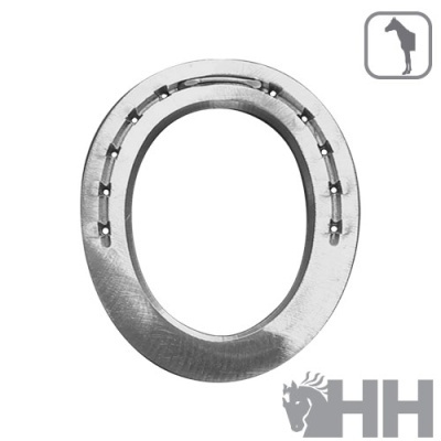 Ferradura metálica prateada com doze furos