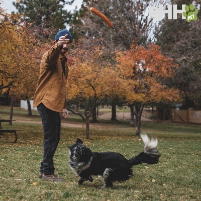 Homem a brincar com cão em parque com árvores outonais e texto HS PET