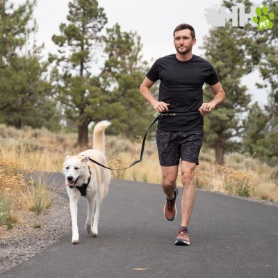 Homem a correr com cão branco e bege em caminho asfaltado rodeado por natureza