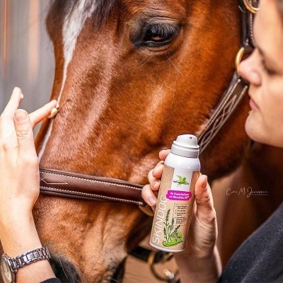Frasco aerosol SKANDUR perto do focinho de um cavalo castanho