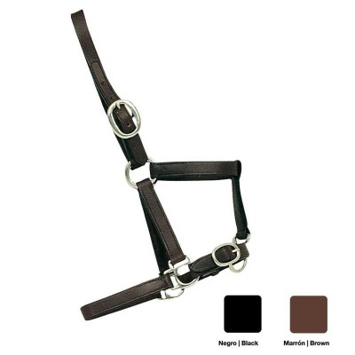 Cabeçada para cavalo preto e castanho com fivelas metálicas em fundo branco