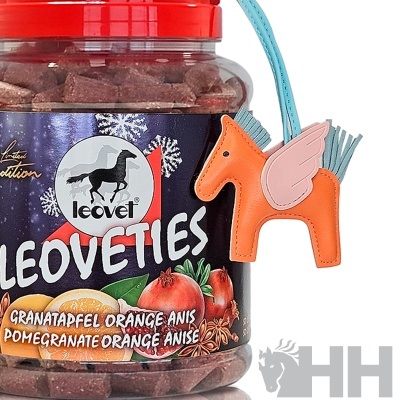 Frasco de guloseimas para cães com etiqueta de Leoveties e chaveiro em forma de cavalo alado.