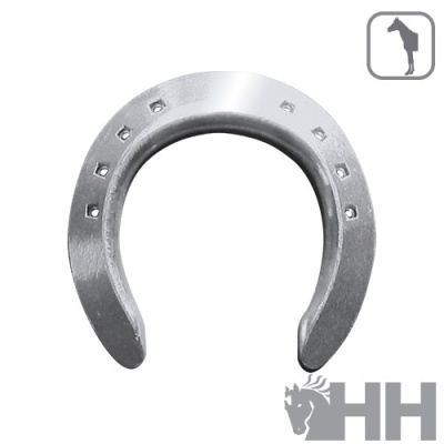 Ferradura metálica prateada com oito furos para pregos