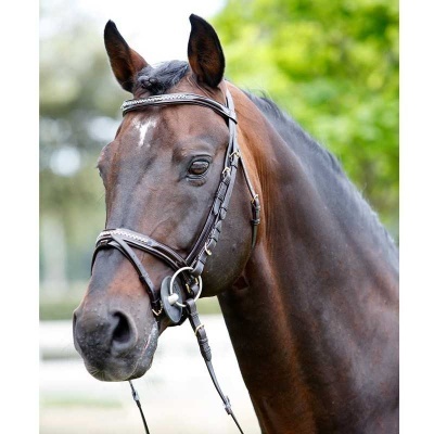 Cabeça de cavalo castanho com rédea e cabresto de couro