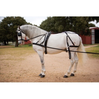 Cavalo branco com arreios de couro preto numa área exterior