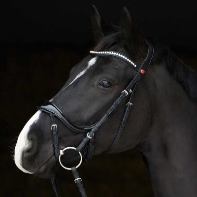 Cabeça de cavalo preto com embocadura de couro preto e faixa com pedras brilhantes