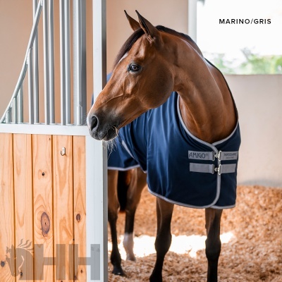 Cavalo com manta azul marinho e cinza num estábulo de madeira clara