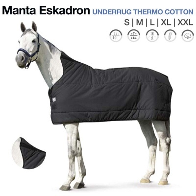 Cavalo branco com manta preta acolchoada para cavalo