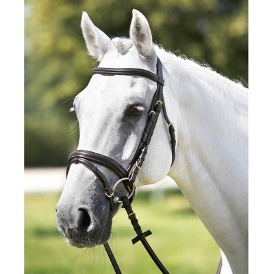 Cavalo branco com peitoral e rédeas de couro preto ao ar livre
