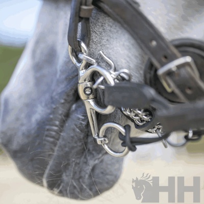 Mordaça metálica com argolas e corrente num cavalo cinzento