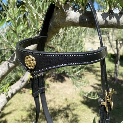 Bridão preto com ferragens douradas pendurado numa árvore
