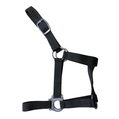 Arnês preto para animal com fivela metálica