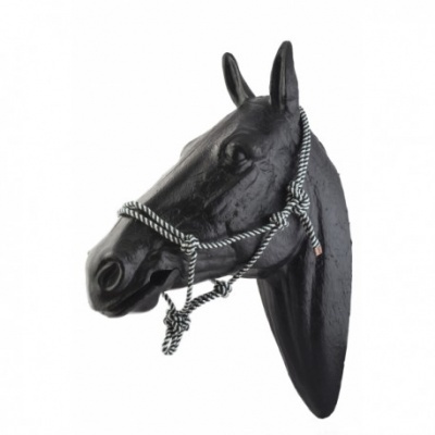 Cabeça de cavalo preta com corda preta e branca amarrada