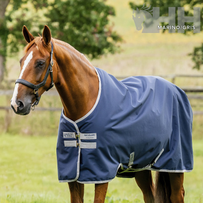 Cavalo com cobertor azul marinho e cinzento com etiquetas AMIGO HORSEWARE IRELAND em campo verde