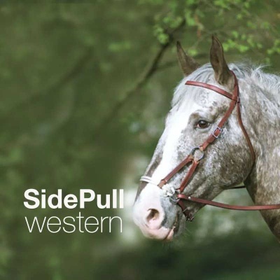 Cavalo cinzento com brida de cabedal castanha e pelúcia branca